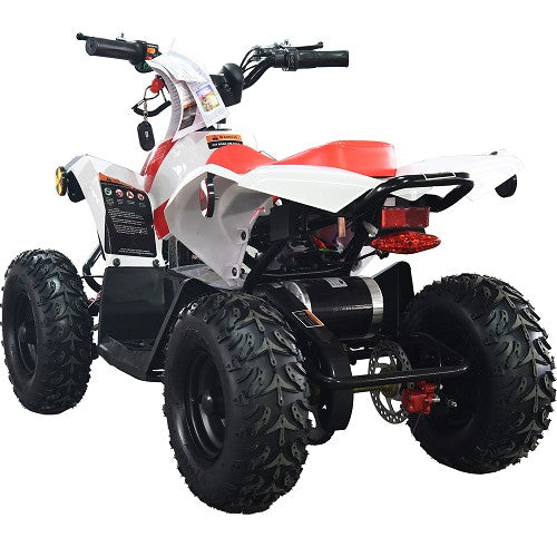 BULLY ATV 1000W