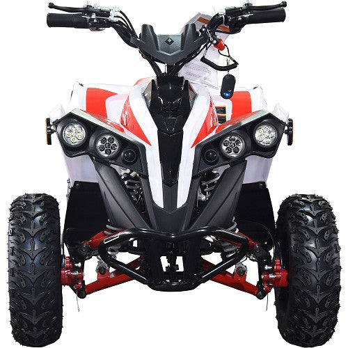 BULLY ATV 1000W