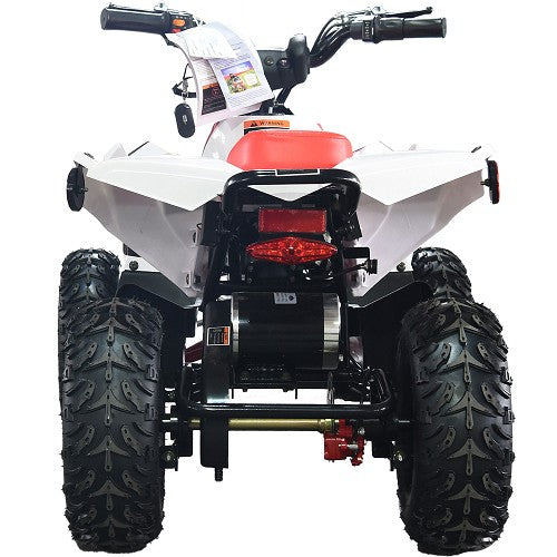 BULLY ATV 1000W