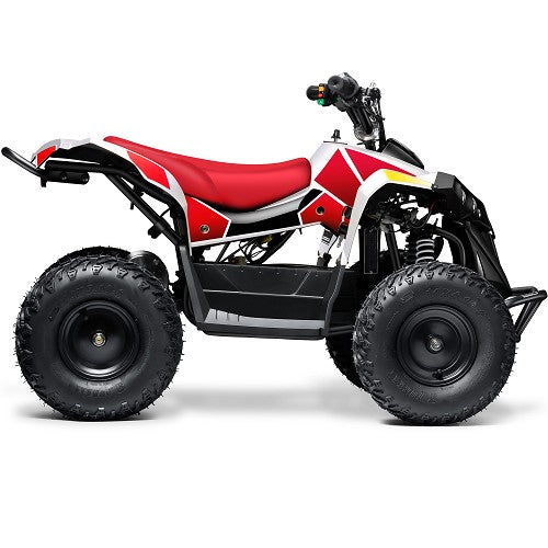 BULLY ATV 1000W