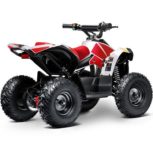 BULLY ATV 1000W