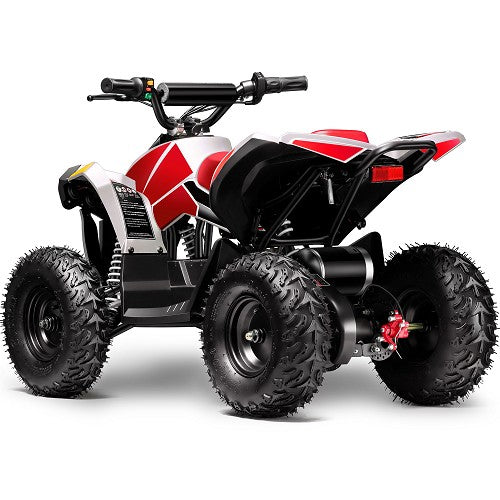 BULLY ATV 1000W