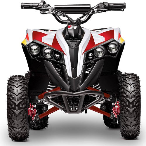 BULLY ATV 1000W