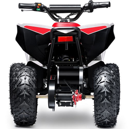 BULLY ATV 1000W