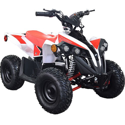 BULLY ATV 1000W