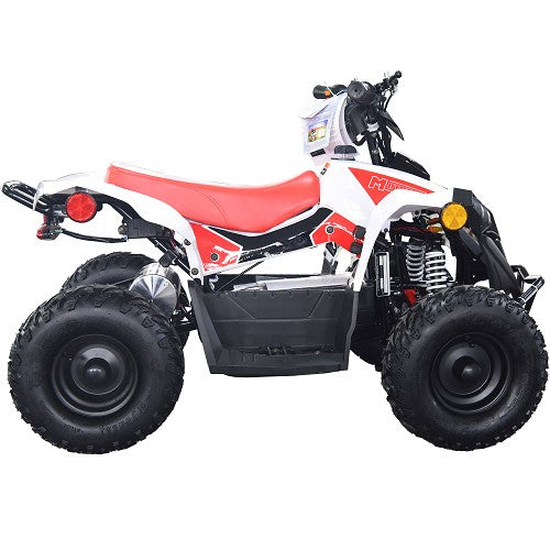 BULLY ATV 1000W