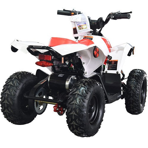 BULLY ATV 1000W