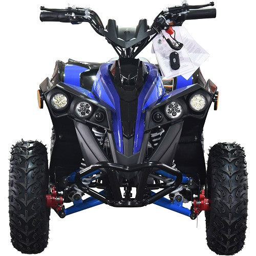 BULLY ATV 1000W