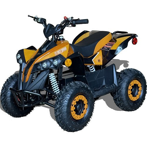 BULLY ATV 1000W