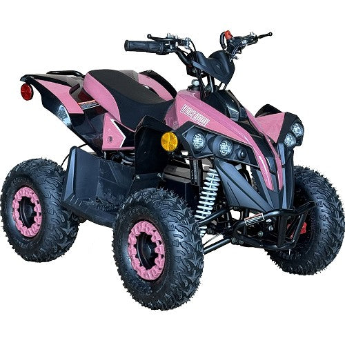 BULLY ATV 1000W