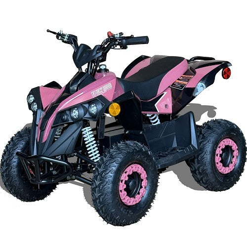 BULLY ATV 1000W