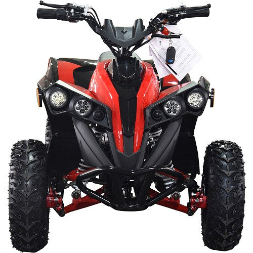 BULLY ATV 1000W